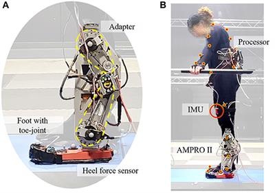 Biomechanical Impacts of Toe Joint With Transfemoral Amputee Using a Powered Knee-Ankle Prosthesis